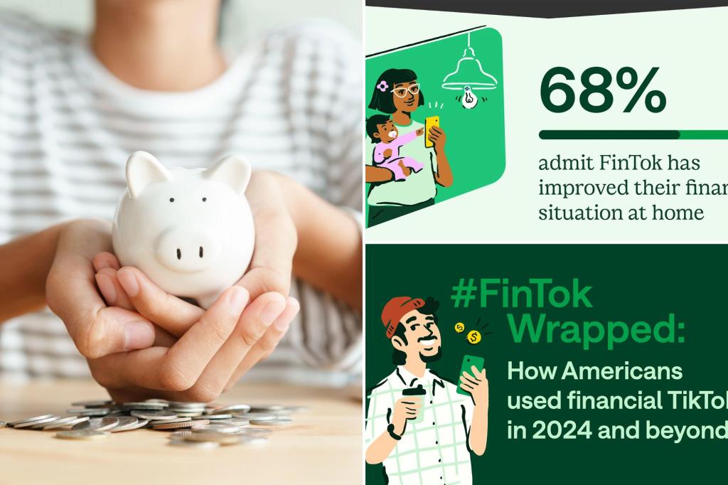 How Americans Fintok used - TIKTOK Financial version - in 2024
